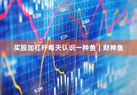 买股加杠杆每天认识一种鱼｜财神鱼