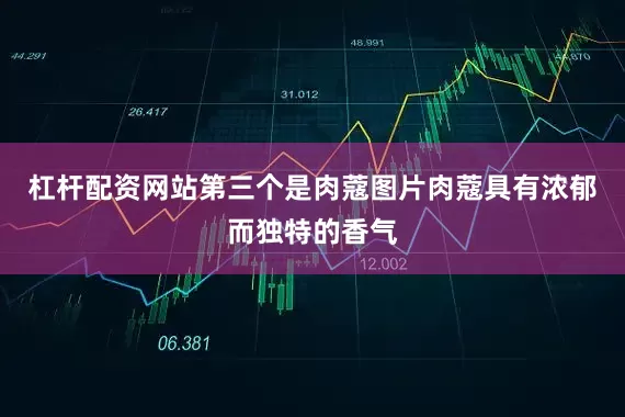 杠杆配资网站第三个是肉蔻图片肉蔻具有浓郁而独特的香气