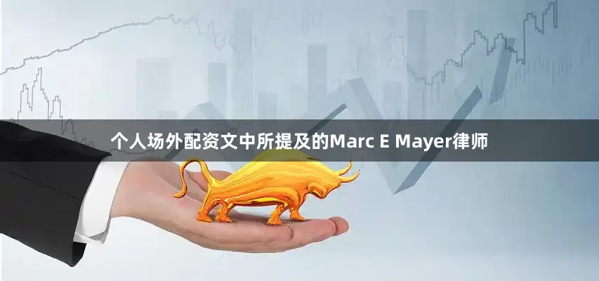 个人场外配资文中所提及的Marc E Mayer律师